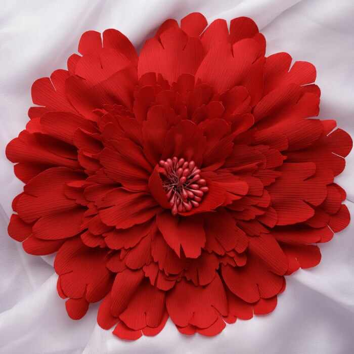 Brosa floare rosie cu multe petale si diametru de 20 cm, cu clips pentru par