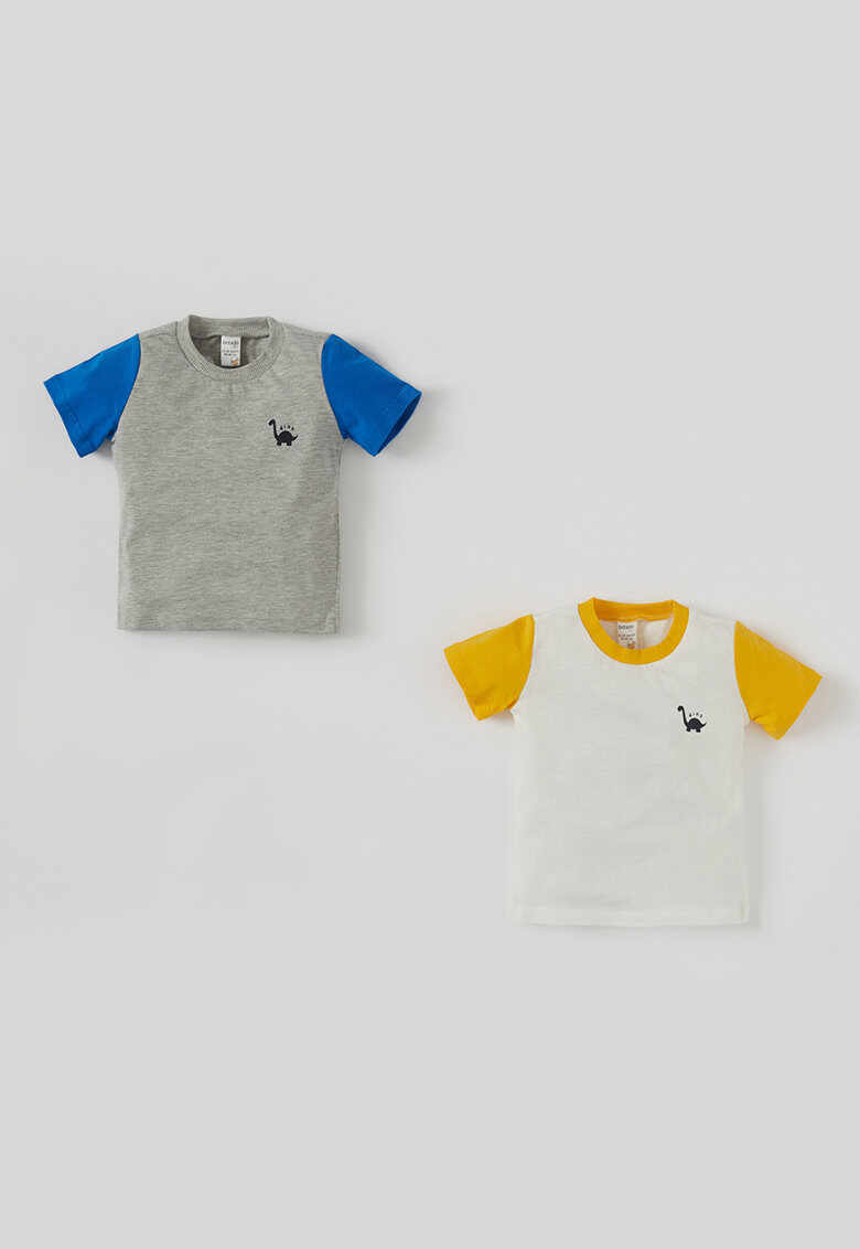 Set de tricouri cu imprimeu grafic Dino - 2 piese - baieti - Multicolor