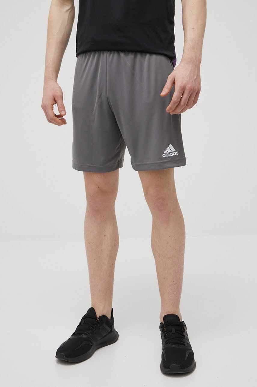 adidas Performance pantaloni scurți de antrenament Entrada 22 barbati, culoarea gri