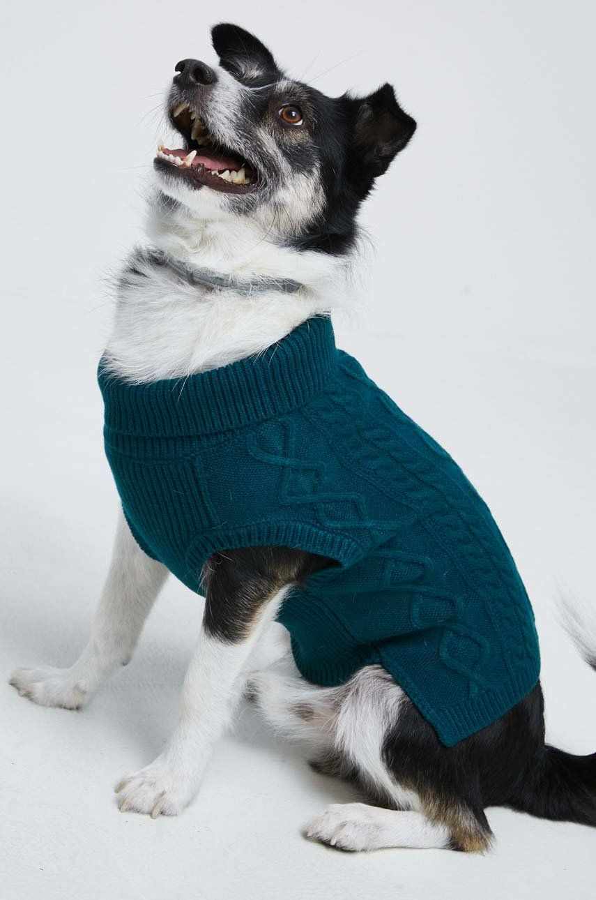 Medicine pulover pentru un animal de companie